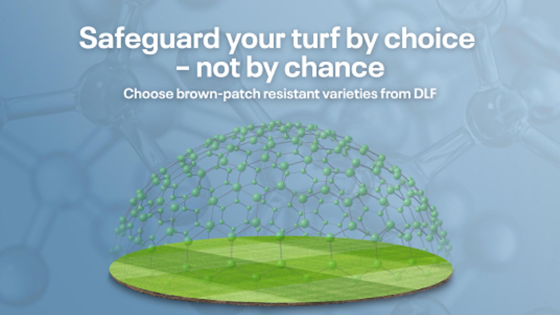 Brown-patch tolerant 4TURF® doesn’t leave it to chances